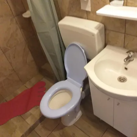 Vila Margareta Séjour chez l'habitant Bucarest